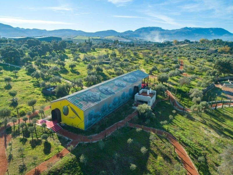 ronda-the-oil-mill-la-organic-olive-oil-museum-and-tasting