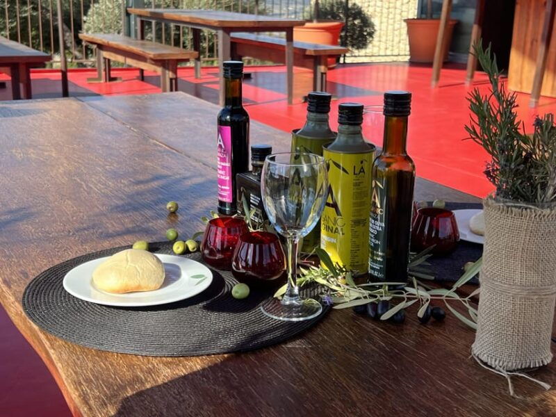 ronda-the-oil-mill-la-organic-olive-oil-museum-and-tasting