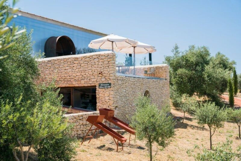 ronda-the-oil-mill-la-organic-olive-oil-museum-and-tasting