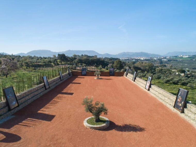 ronda-the-oil-mill-la-organic-olive-oil-museum-and-tasting
