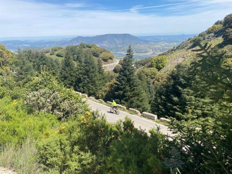 ronda-the-palomas-pass-supported-cycling-tour-easy