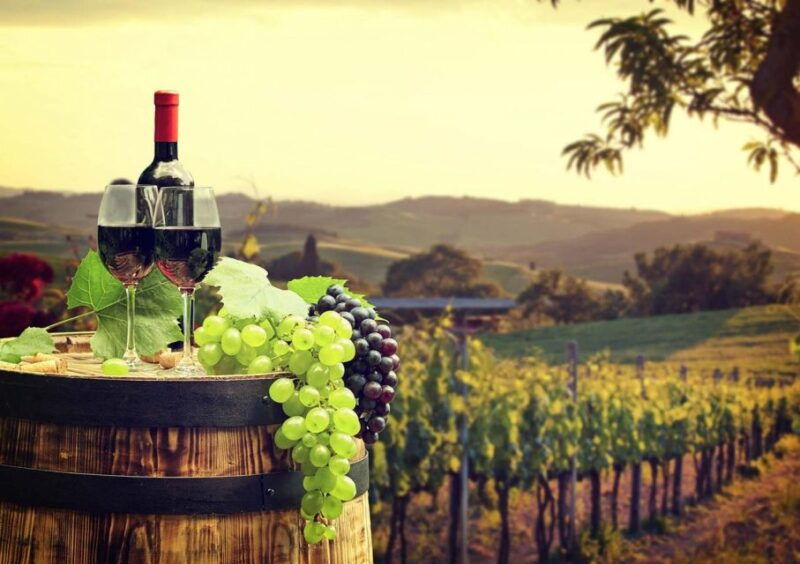 ronda-winery-tour-from-seville