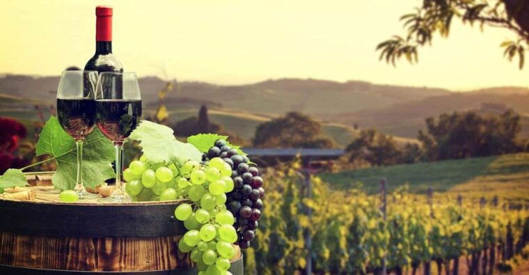 ronda-winery-tour-from-seville
