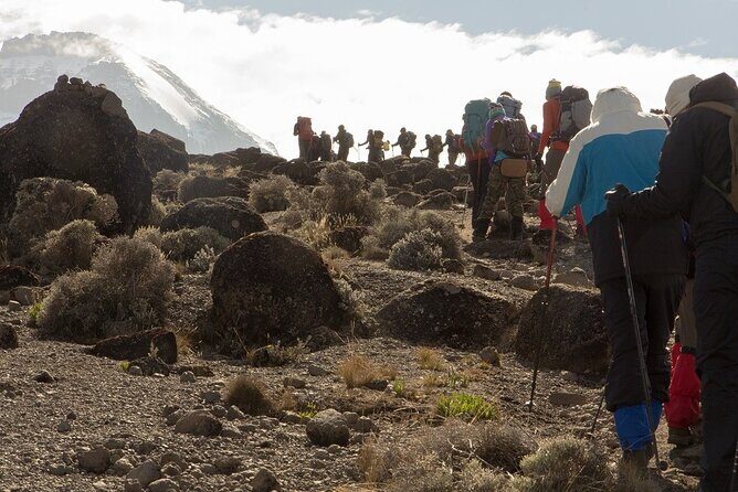 Rongai 7 days - Day 3: Elevation and Crater Views