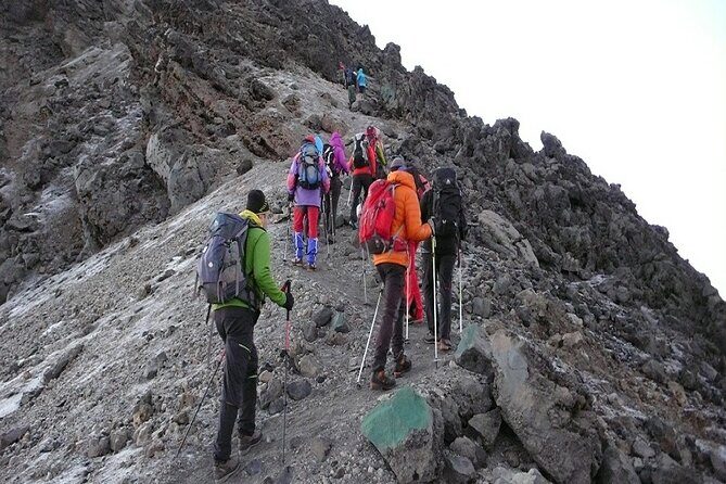 Rongai 7 days - Day 4: Wilderness and Mawenzi