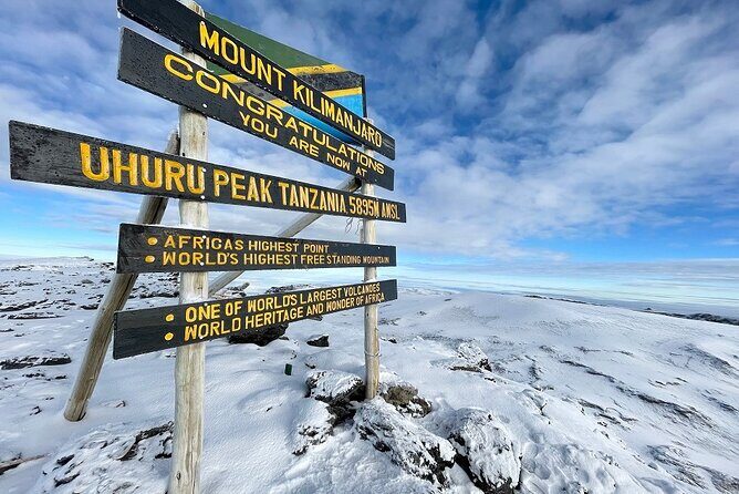 Rongai 7 days - Day 6: The Summit Ascent