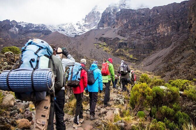 Rongai 7 days - Day 7: Descent and Celebration