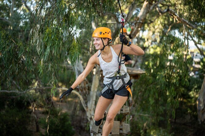 RoofClimb Adelaide Oval Experience - Who Would Love This Tour?