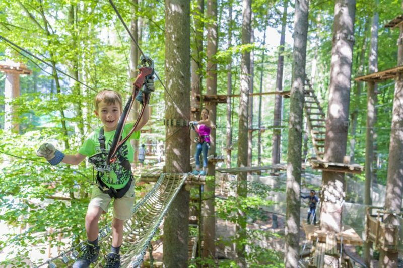 Rope Park Interlaken: Climbing Adventure with Entry Ticket - Key Points