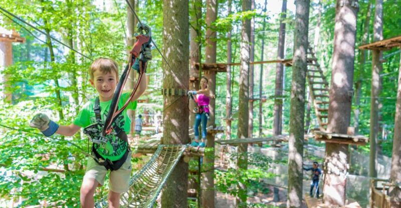 Rope Park Interlaken: Climbing Adventure with Entry Ticket - Navigating the Courses: What to Expect