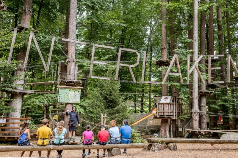 Rope Park Interlaken: Climbing Adventure with Entry Ticket - Why We Think It’s Worth the Price
