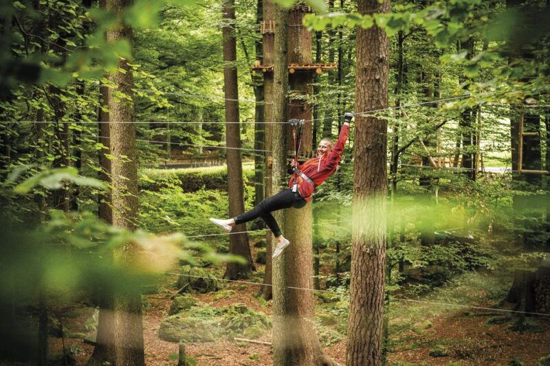 Rope Park Interlaken: Climbing Adventure with Entry Ticket - Practical Tips for Your Visit