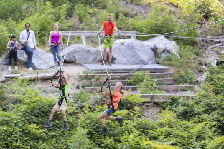 Rope Park Interlaken: Climbing Adventure with Entry Ticket - The Sum Up