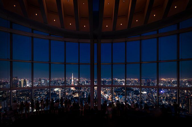 Roppongi Hills Observation Deck Admission Ticket - Analyzing the Value