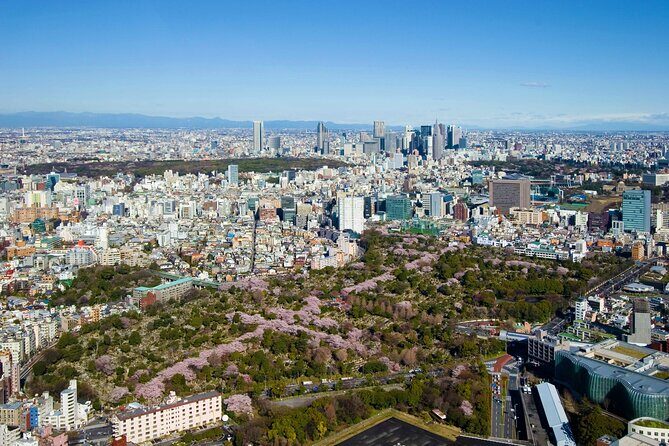 Roppongi Hills Observation Deck Admission Ticket - Who Should Consider This Tour?