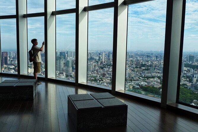 Roppongi Hills Tokyo City View Observatory Deck Ticket - Who Should Consider This Tour?