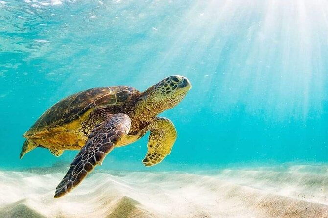 rose-island-3-island-luxury-private-tour8hrs