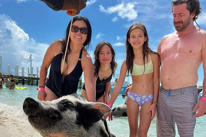 rose-island-3-islands-tour-swim-with-pigs-turtles-snorkelling