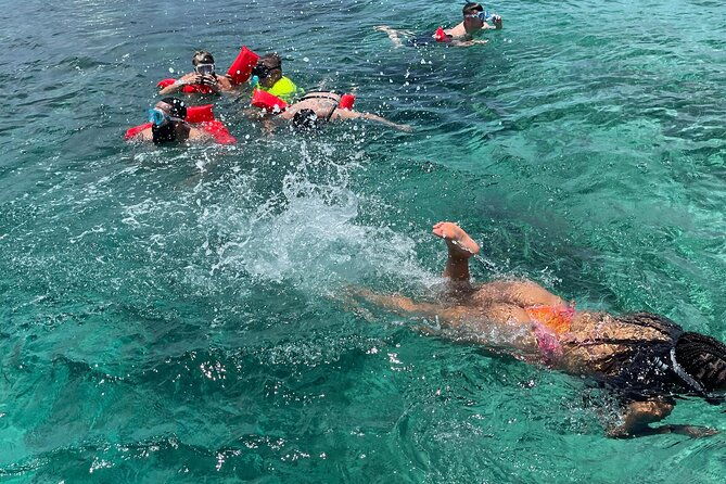 rose-island-3-islands-tour-swim-with-pigs-turtles-snorkelling