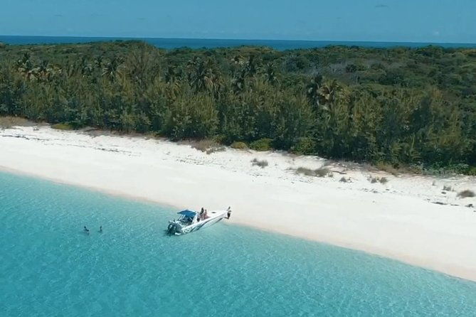rose-island-adventure-snorkel-sea-turtles-and-private-beach