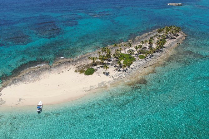 rose-island-adventure-snorkel-sea-turtles-and-private-beach