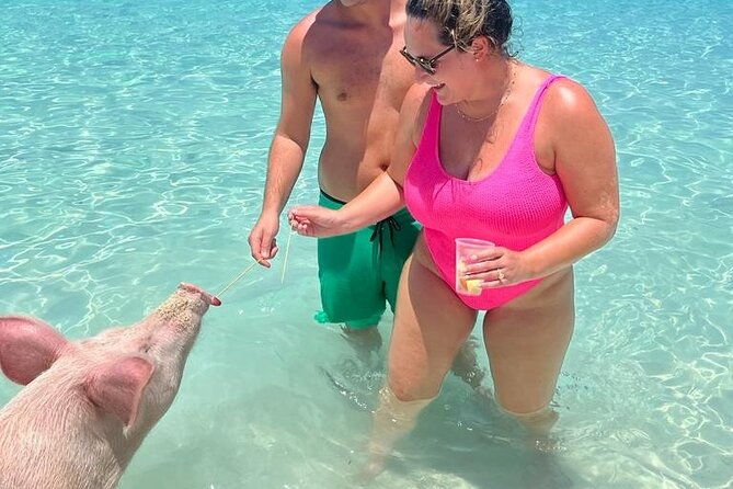 rose-island-private-beach-swimming-with-the-pigs