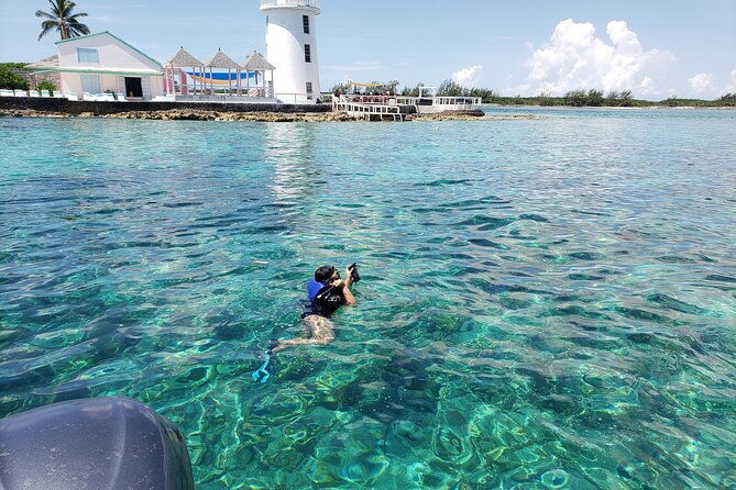 rose-island-private-snorkeling-fishing-and-swimming-with-pigs