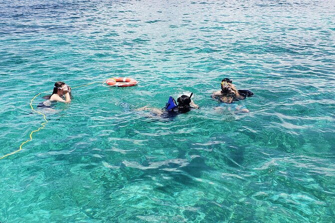 rose-island-private-snorkeling-fishing-and-swimming-with-pigs