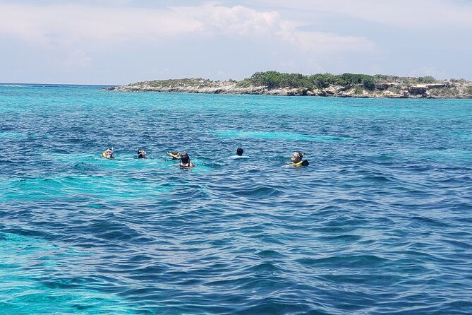 rose-island-private-snorkeling-fishing-and-swimming-with-pigs