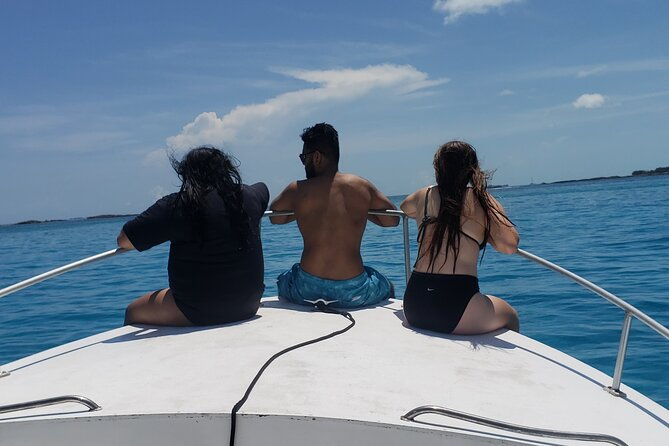 rose-island-private-snorkeling-fishing-and-swimming-with-pigs