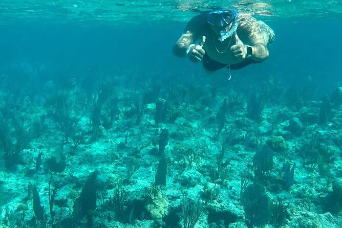 rose-island-snorkeling-turtles-spotting-excursion