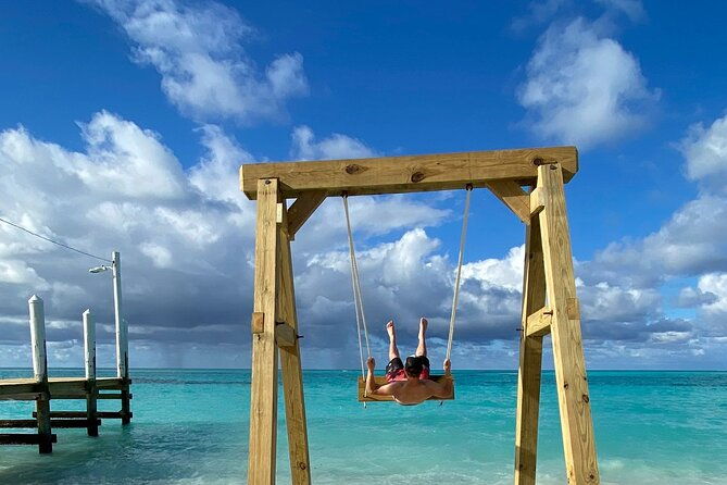 rose-island-swimming-pigs