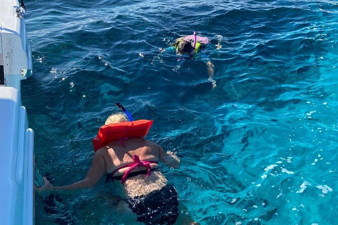 rose-island-swimming-pigs