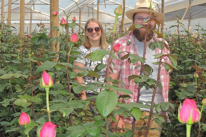 rose-plantation-equator-line-and-otavalo-market-private-tour