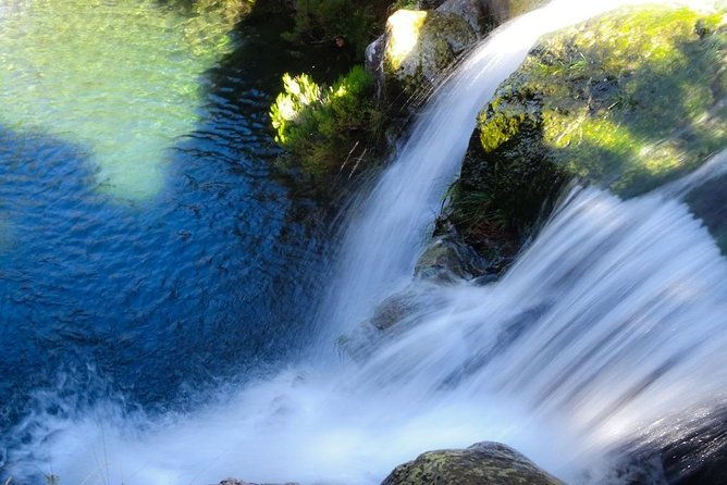 rosemary-levada-levada-do-alecrim-full-day-walk