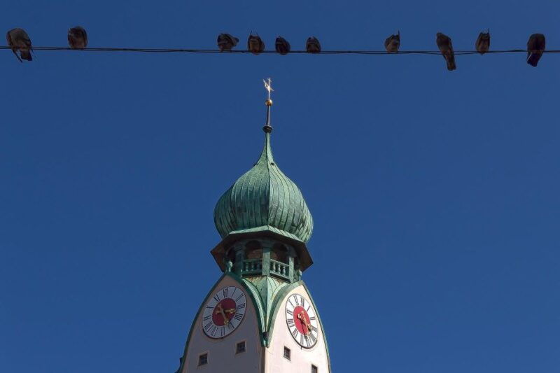 rosenheim-express-walk-with-a-local-in-60-minutes