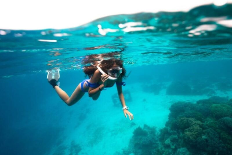 roses-boat-trip-special-snorkeling-in-cap-de-creus