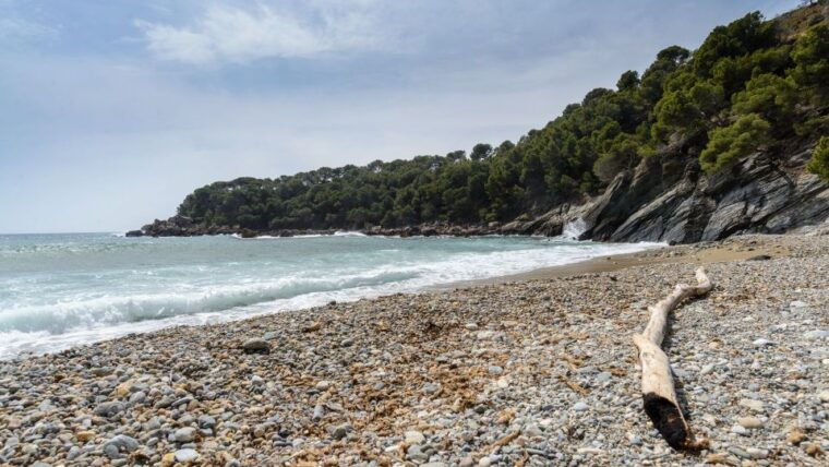 roses-cruise-to-cala-murtra-with-underwater-views