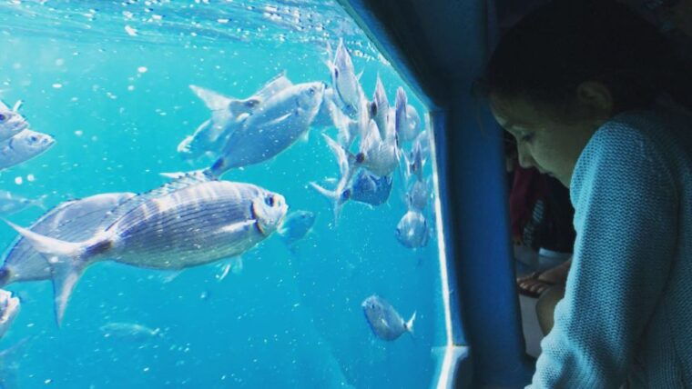 roses-cruise-to-cala-murtra-with-underwater-views