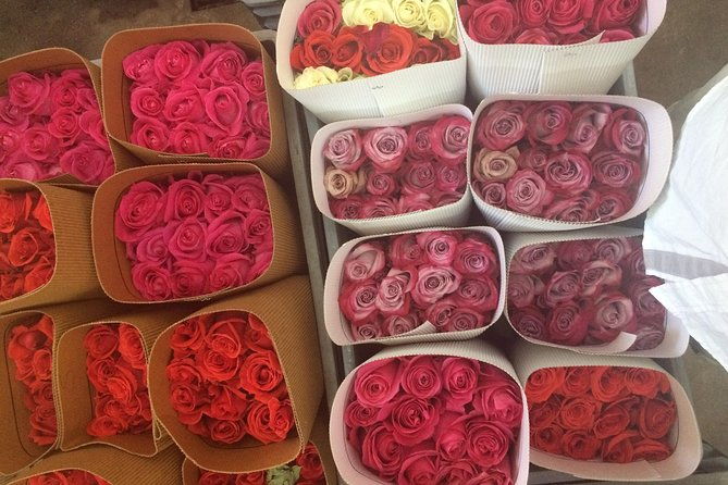 roses-horseback-riding-private-day-trip-from-quito