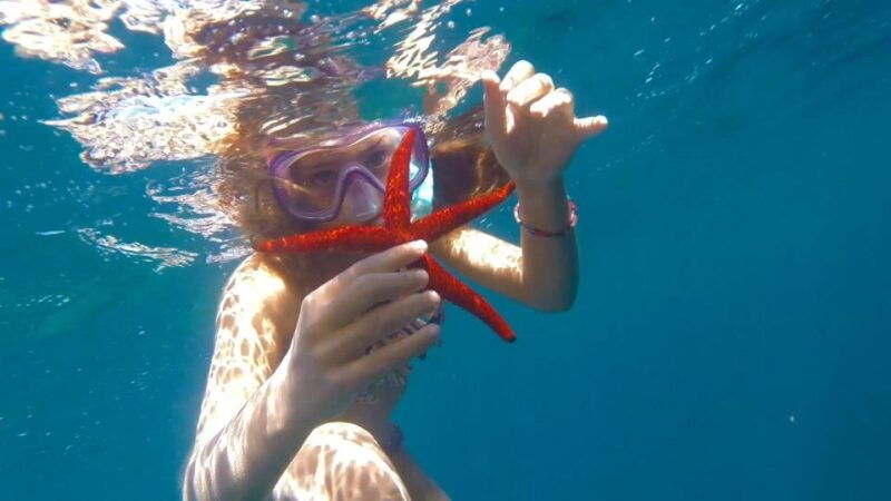 roses-rent-the-boat-and-live-an-unforgettable-experience