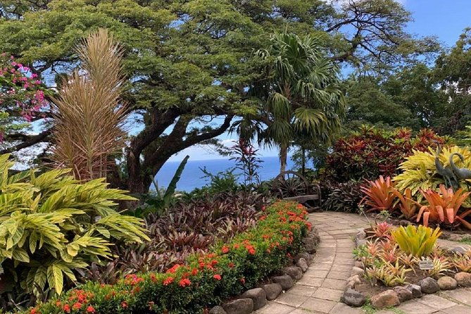 rosevelts-special-best-of-st-kitts-panoramic-tour