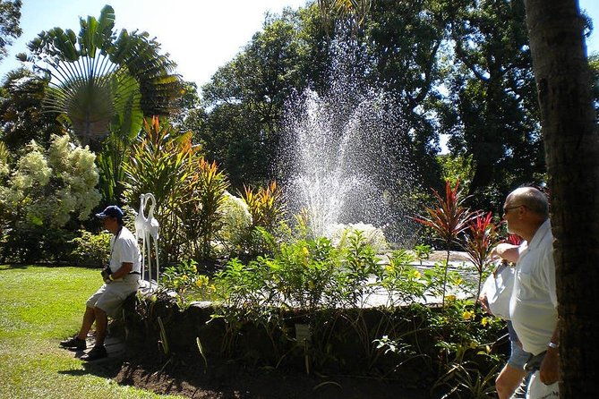 rosevelts-special-best-of-st-kitts-panoramic-tour