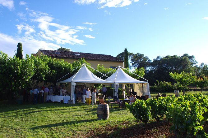 rosewinetasting-parties-or-workshops-with-a-wineeducator-at-your-place