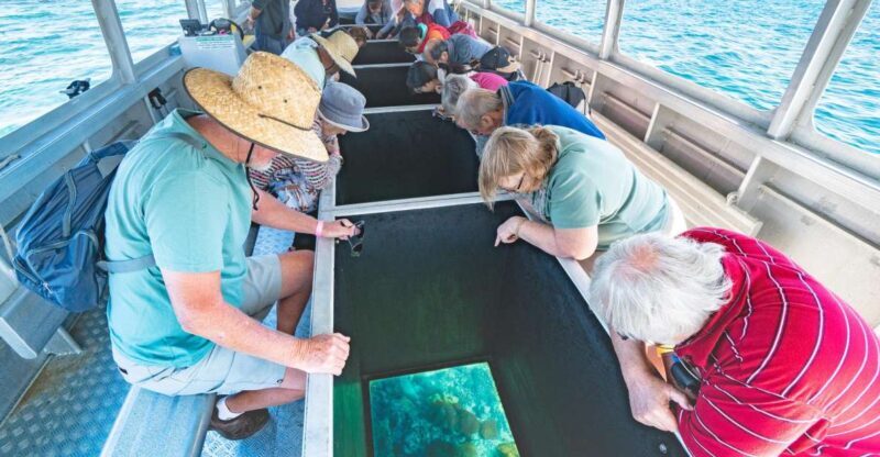 Rosslyn: Great Keppel Island Glass Bottom Boat Tour - Introduction to the Tour Experience