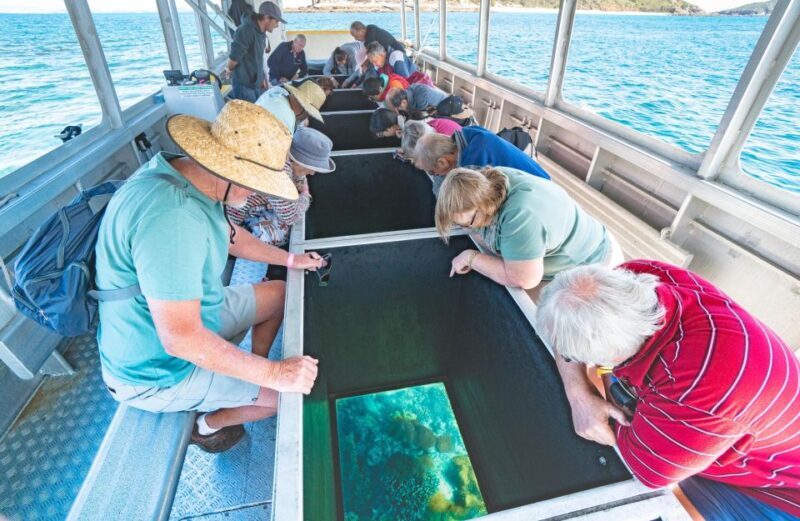 Rosslyn: Great Keppel Island Glass Bottom Boat Tour - What Sets This Tour Apart?