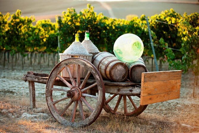 Rosso and Brunello di Montalcino Wine Tour Including Lunch and Visit to 2 Local Wineries - Free Time in Montalcino  