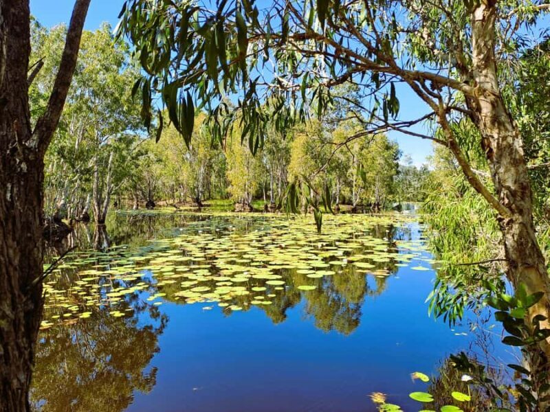 Rossville: Aboriginal Cultural Experience with Mooks - An In-Depth Look at the Experience