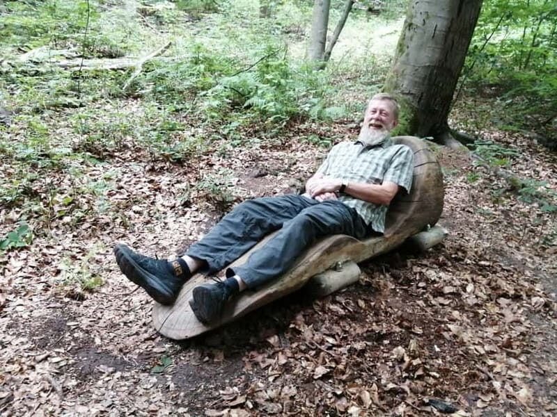 Rotenburg an der Fulda: Forest bathing with a certified guide - An in-depth look at the forest bathing tour in Rotenburg an der Fulda