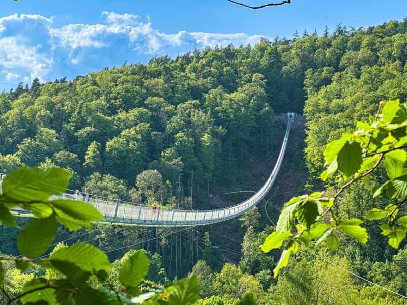 Rotenburg an der Fulda: Highwalk for the fearful - An In-Depth Look at the Highwalk for the Fearful Experience